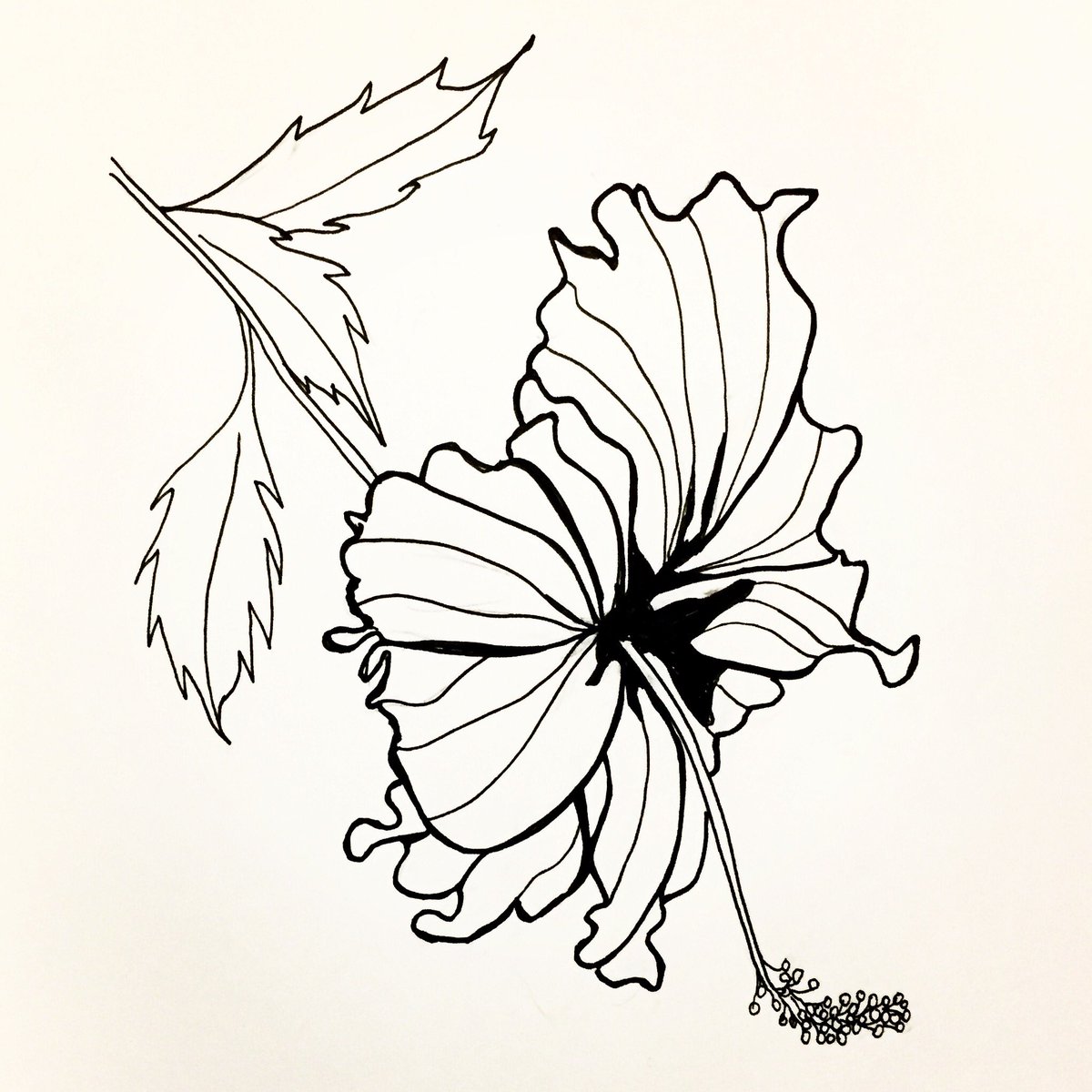 1200x1200 Pinkpolish On Twitter