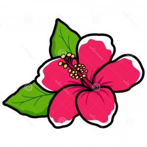300x300 Png Hawaiian Hibiscus Hawaiian Hibiscus Drawing Clip A Soidergi