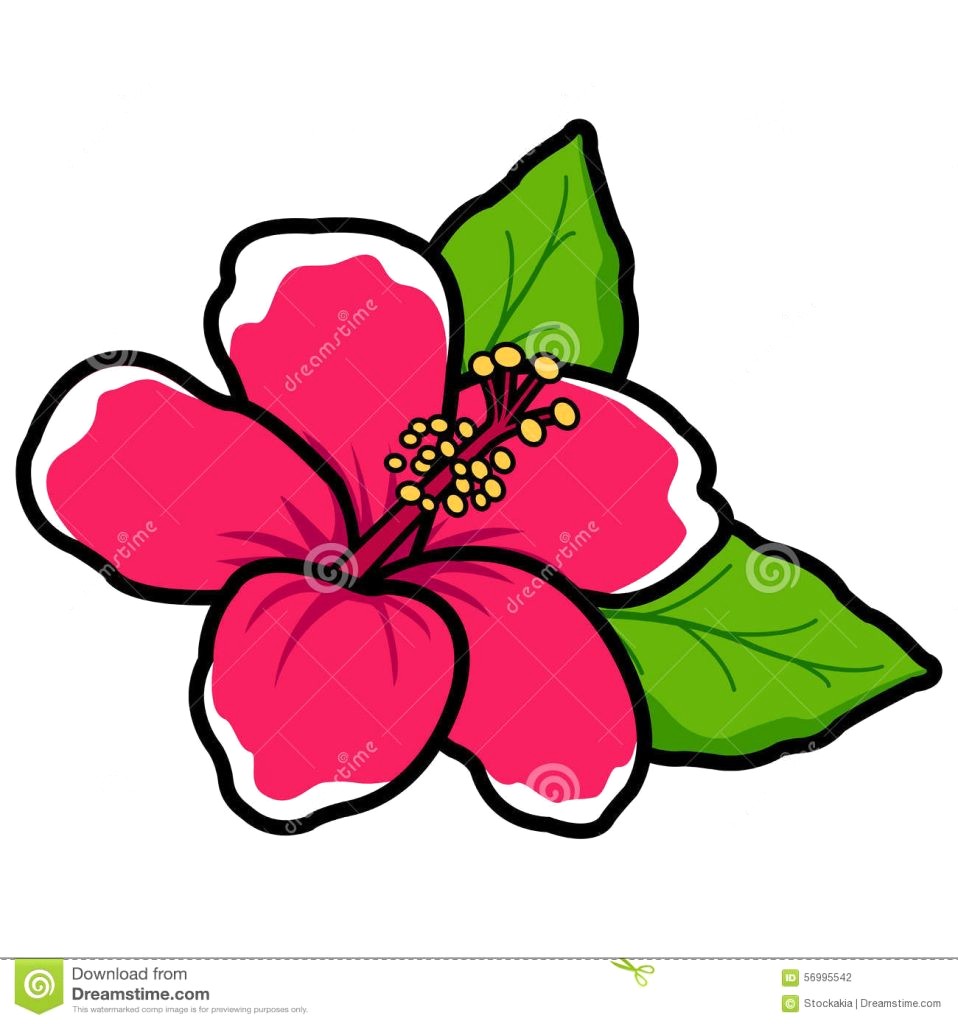 958x1024 Popular Hawaiian Flowers Cartoon High Tech Inspiring Draw