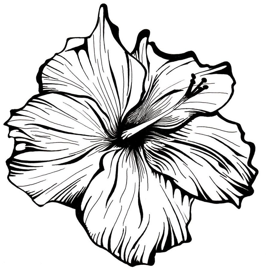 894x894 White Flower
