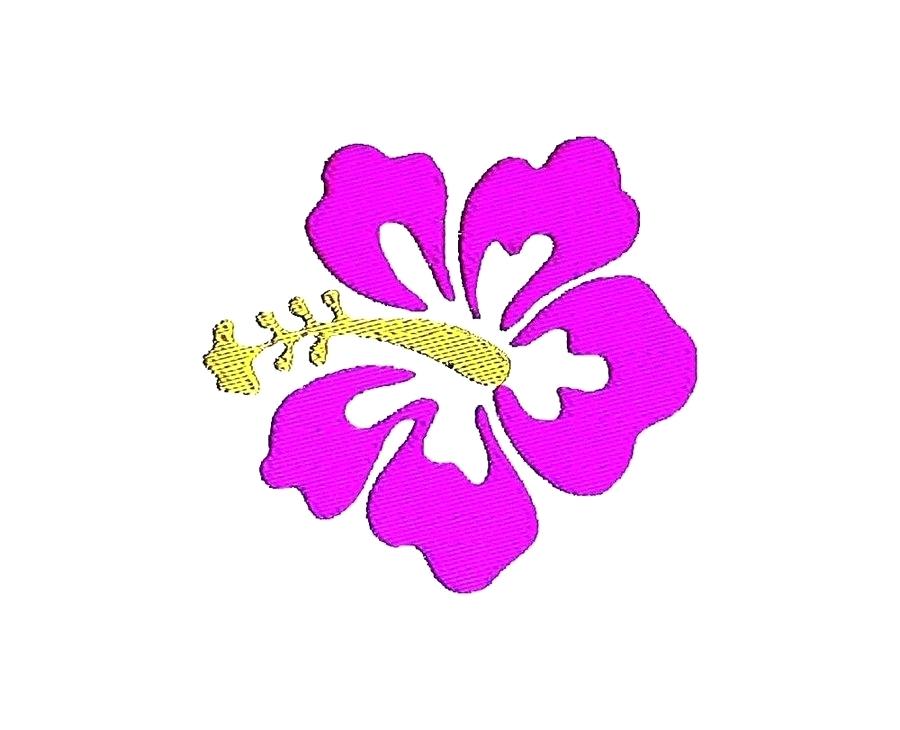 900x730 Draw Hibiscus Flower