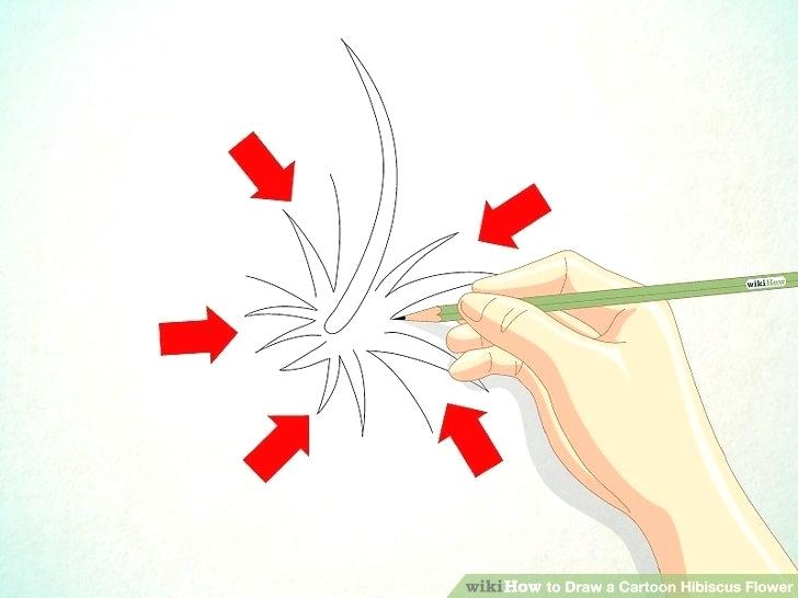 728x546 How Do You Draw A Hibiscus Flower