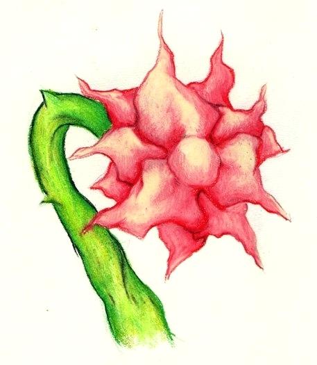 457x525 Pretty Flower Sketch