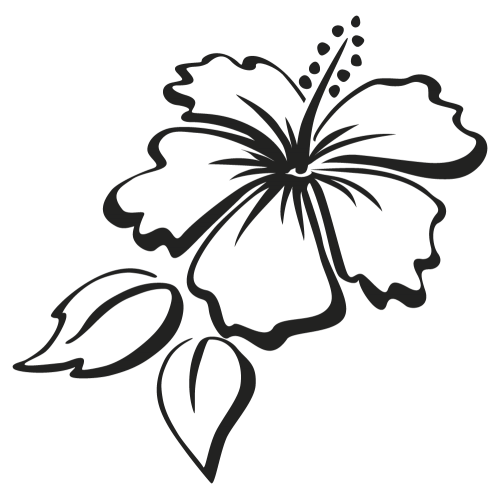Hibiscus Line Drawing