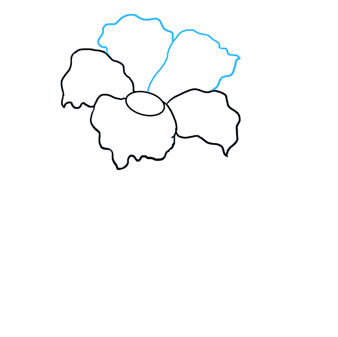 680x678 How To Draw A Hibiscus