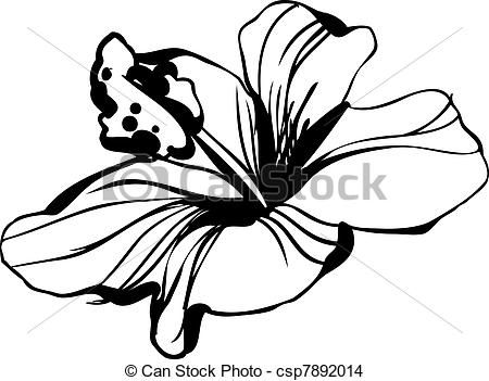 450x351 Hibiscus Line Art