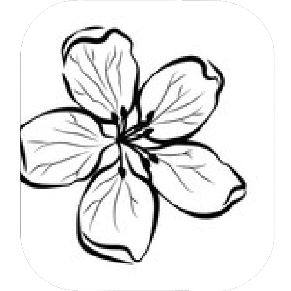 1200x1200 Designs Mein Mousepad Design Mousepad Selbst Designen