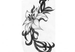 300x210 Drawings In Pencil Of Flowers How To Draw And Sketch Hibiscus