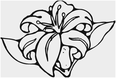 398x268 Hibiscus Coloring