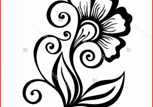 300x210 Art Of Flowers Pencli Drawing How To Draw And Sketch Hibiscus