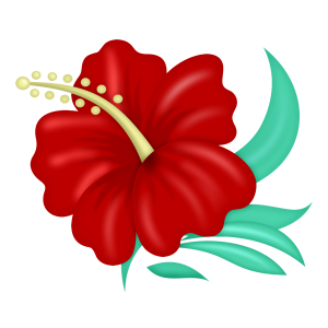 300x300 Colored Drawing Hibiscus Transparent Png Clipart Free Download