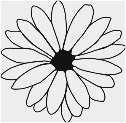 425x417 Flower Outline Coloring