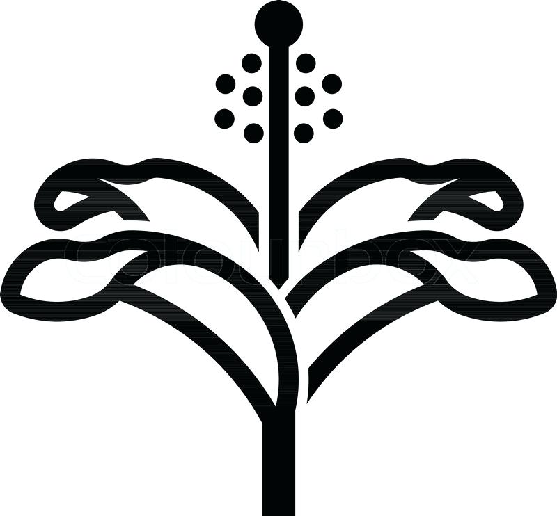 800x742 Hibiscus Flower Outline Outline Hibiscus Flower Pixel Perfect