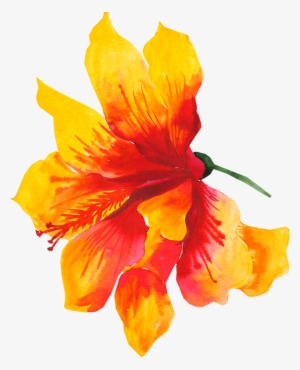 300x370 Hibiscus Flower Png, Transparent Hibiscus Flower Png Image Free