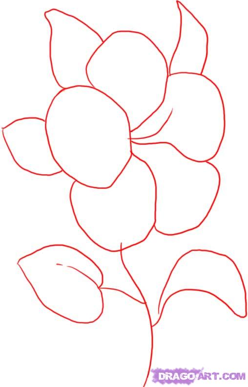 508x791 How To Draw A Easy Hibiscus Flower