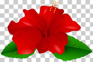 310x209 Page Mallow Png Cliparts For Free Download Uihere