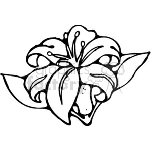300x300 Hibiscus Outline Clipart Royalty Free Clipart