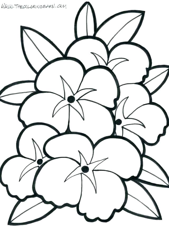 640x856 Coloring Pages Plant Coloring Pages Free Flowers