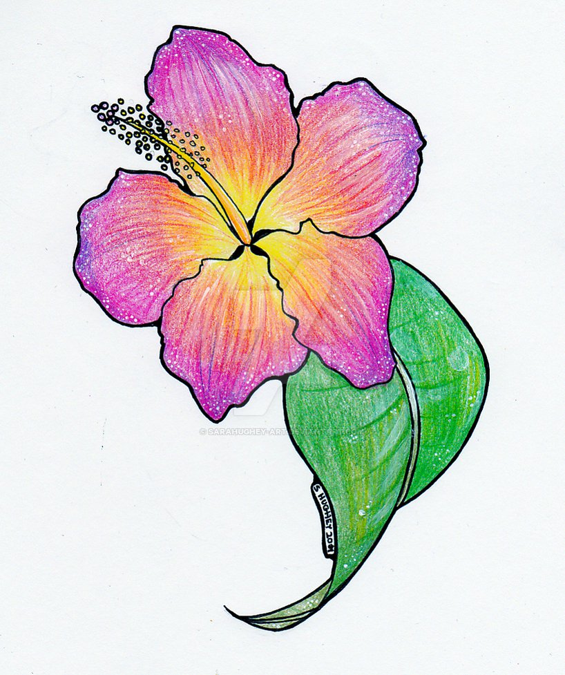 818x977 Sunset Hibiscus Tattoo