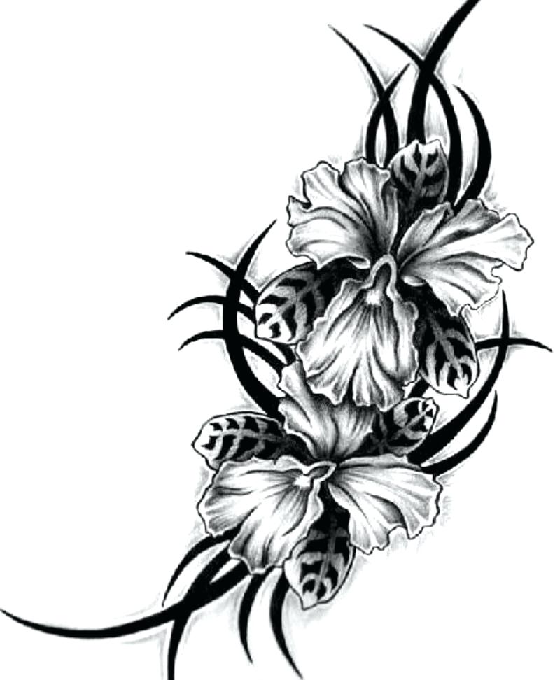 Hibiscus Tattoo Drawing | Free download on ClipArtMag