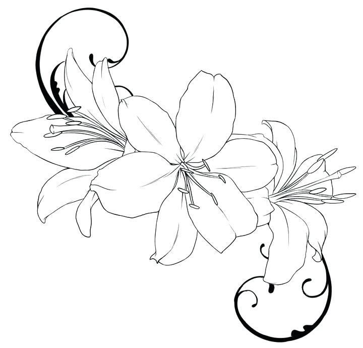 720x690 Easy Flower Tattoos How To Draw A Tribal Flower Tattoo Easy Flower