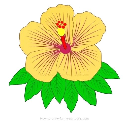 520x504 Hibiscus Drawings Hibiscus Flower Tattoo Idea Tattoos Library