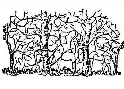 400x286 Hidden Animal Art Optical Illusion Do You See, What I See