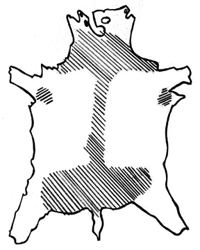 288x360 collection of free cowhided clipart animal hide download on ui ex