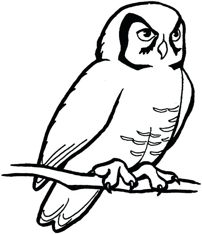 650x753 Outline Of Owls Drawings Collection Of Outline Of Owl Drawing