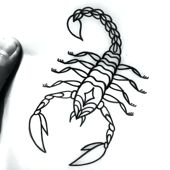 564x564 simple scorpion drawing image titled draw a scorpion step simple