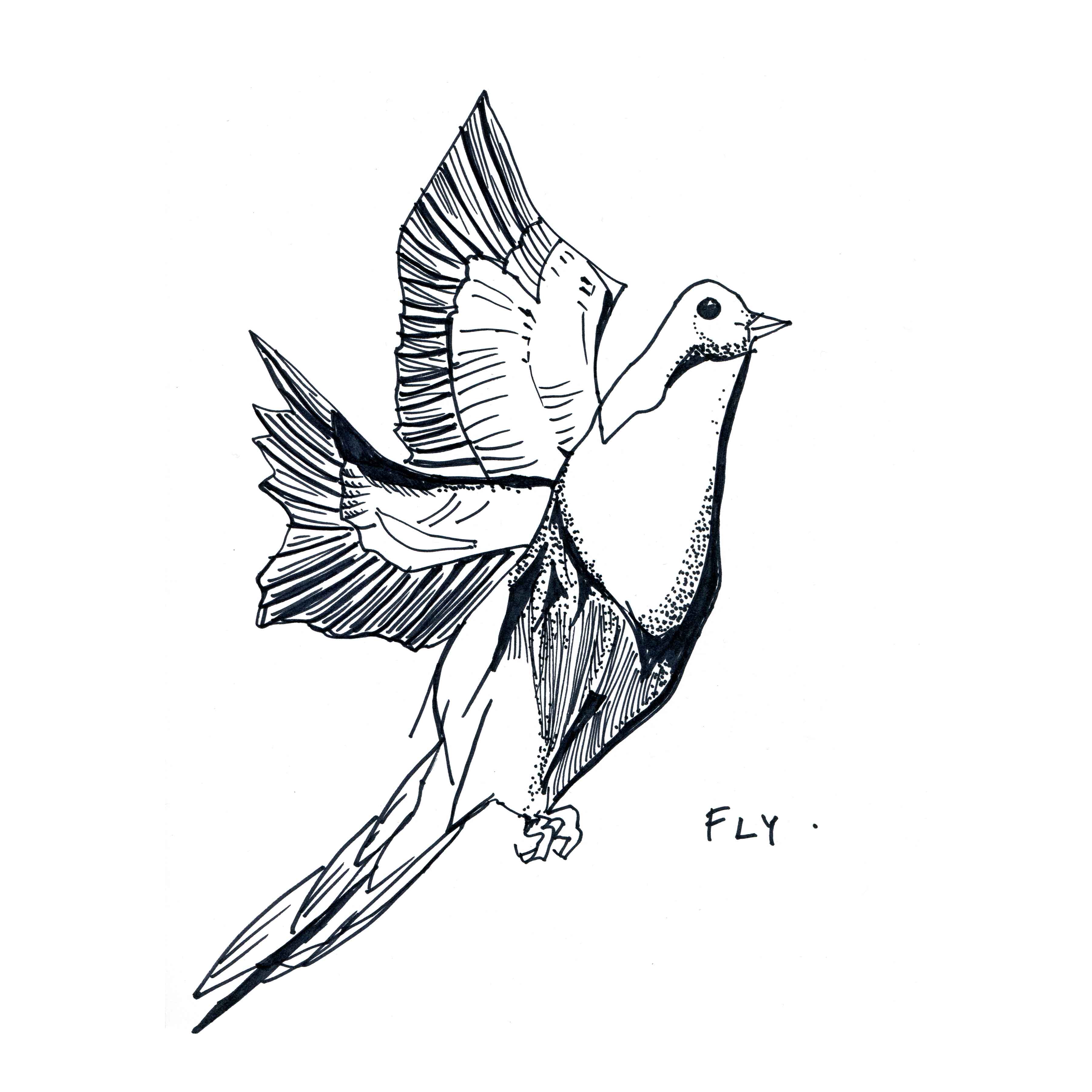 3600x3600 Pen And Paper Archives