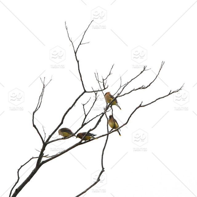 640x640 Instacanvas, Igcapturesminimalism, Nothingisordinary, Highkey