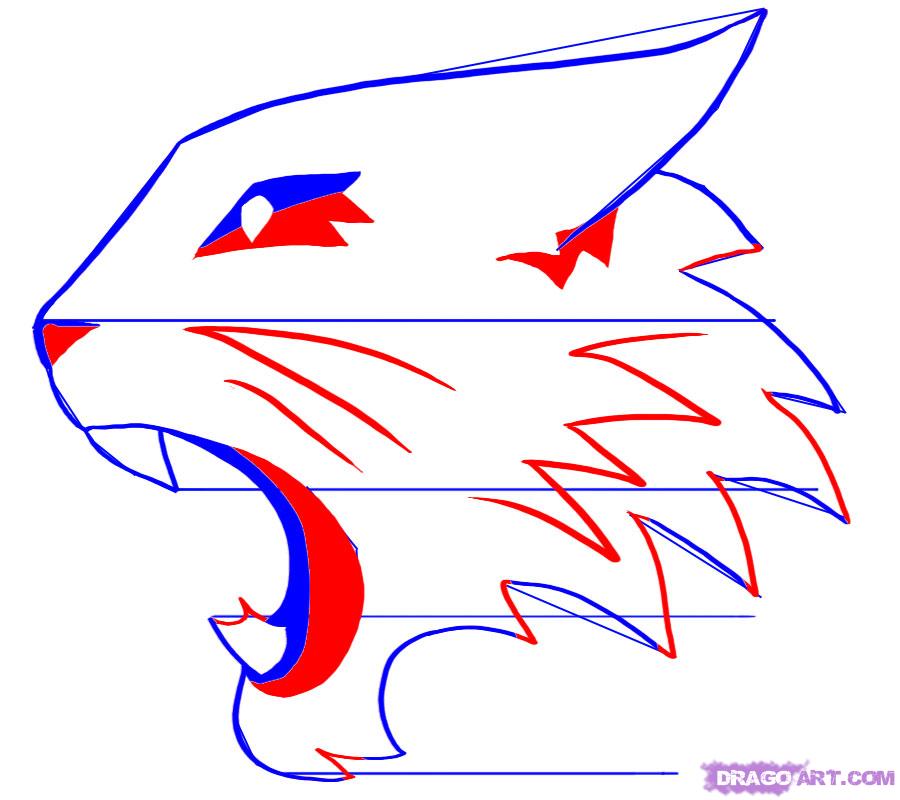 900x800 Draw High School Musical Wildcats Logo, Step