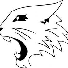 220x220 How To Draw How To Draw High School Musical Wildcats Logo