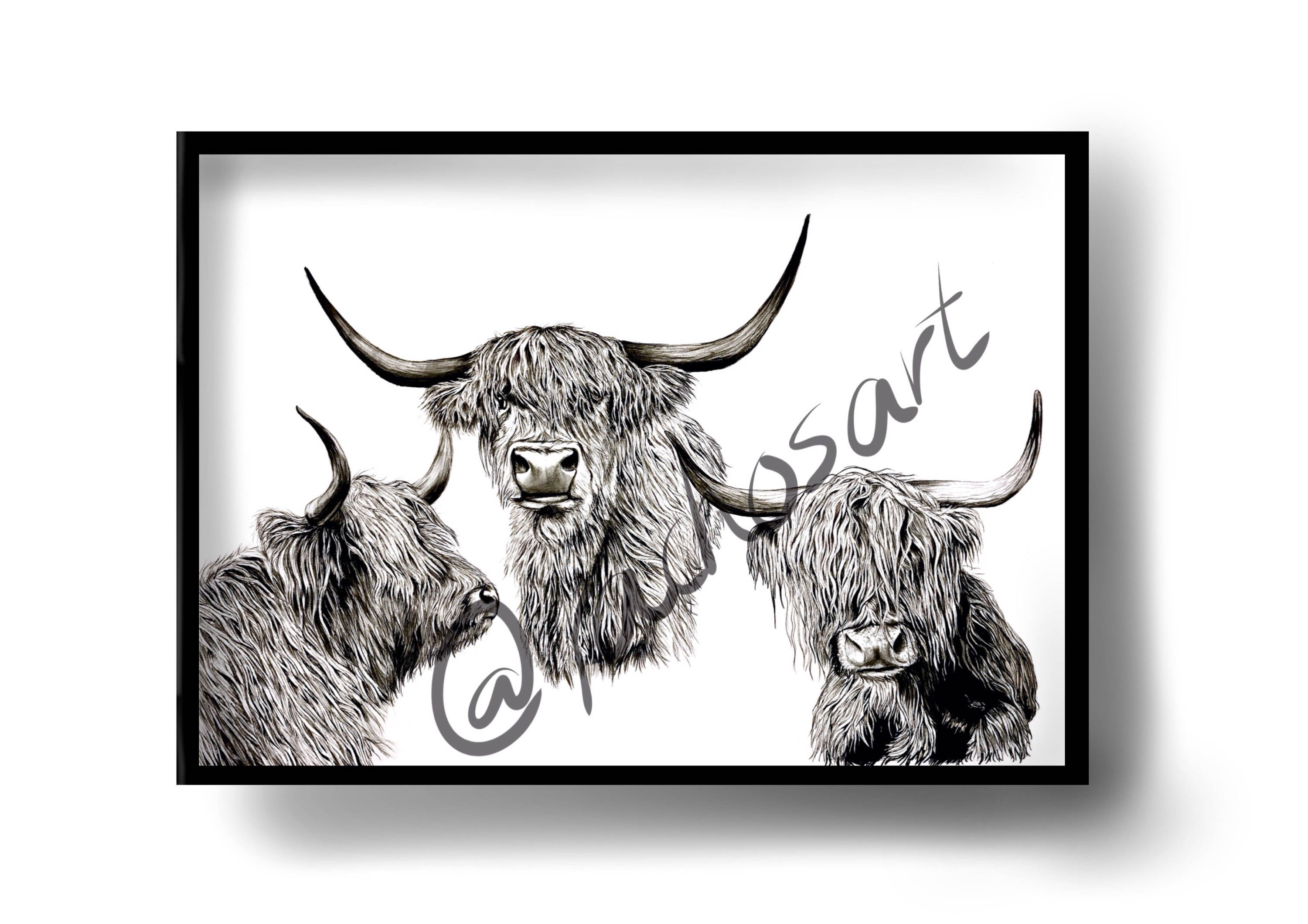 3000x2121 Highland Cows Drawing Etsy