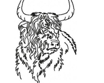 340x270 Highland Cattle Etsy