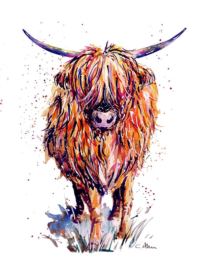 794x1059 Tumshie The Highland Cow Painting Print Etsy