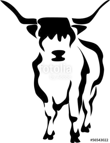 385x500 Scottish Highland Cattle Stock Image And Royalty Free Vector