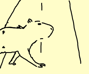 300x250 Capybara Crossing The Highway