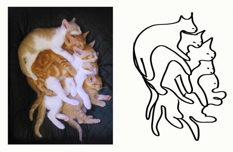 758x496 hilarious minimal cat drawings that are weird but definitely