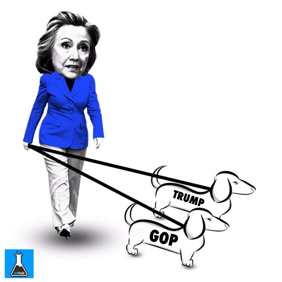 900x900 hillary and her lapdogs