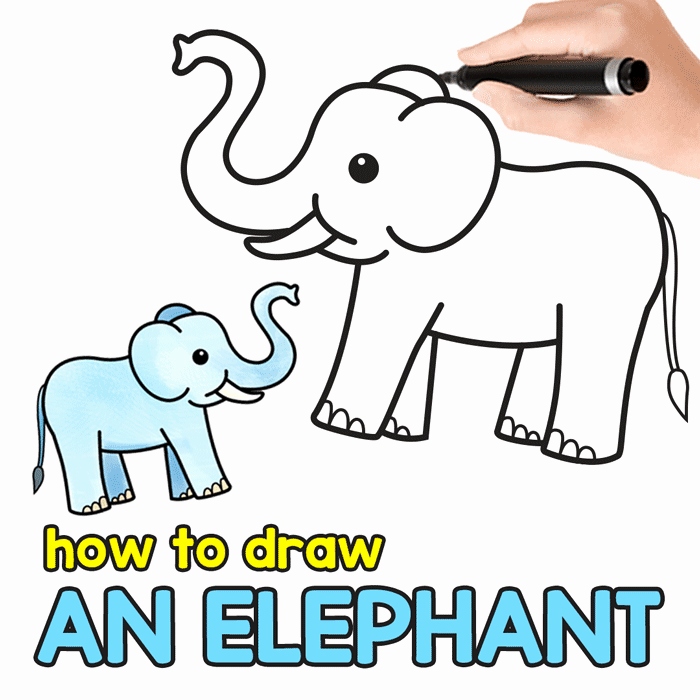 700x700 Elephant Sketches Drawings Fresh How To Draw An Elephant Step