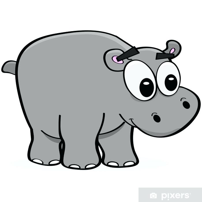 700x700 Cartoon Hippo Hippo Cartoon Coloring Pictures Zupa