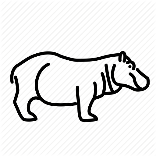 512x512 Drawing Hippopotamus Tail Cartoon Transparent Png Clipart Free