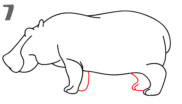640x364 How To Draw A Hippo
