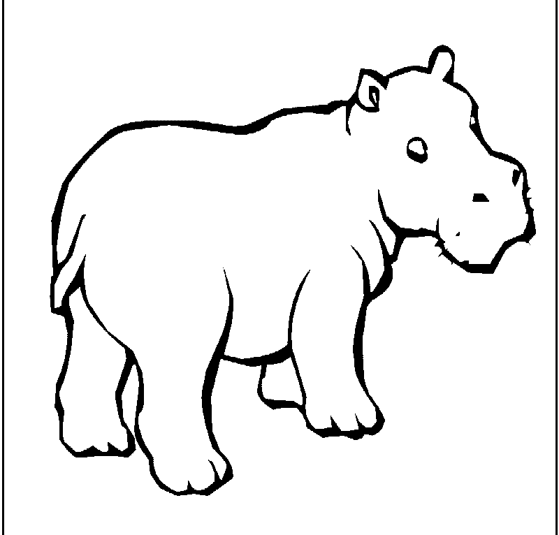 800x766 Hippo Pictures For Kids
