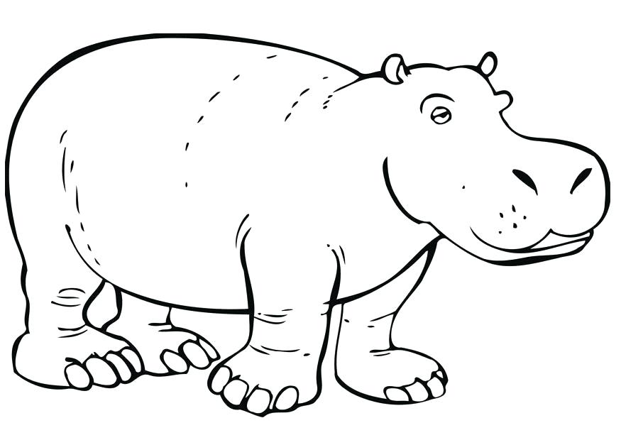 Hippo Drawing For Kids | Free download on ClipArtMag