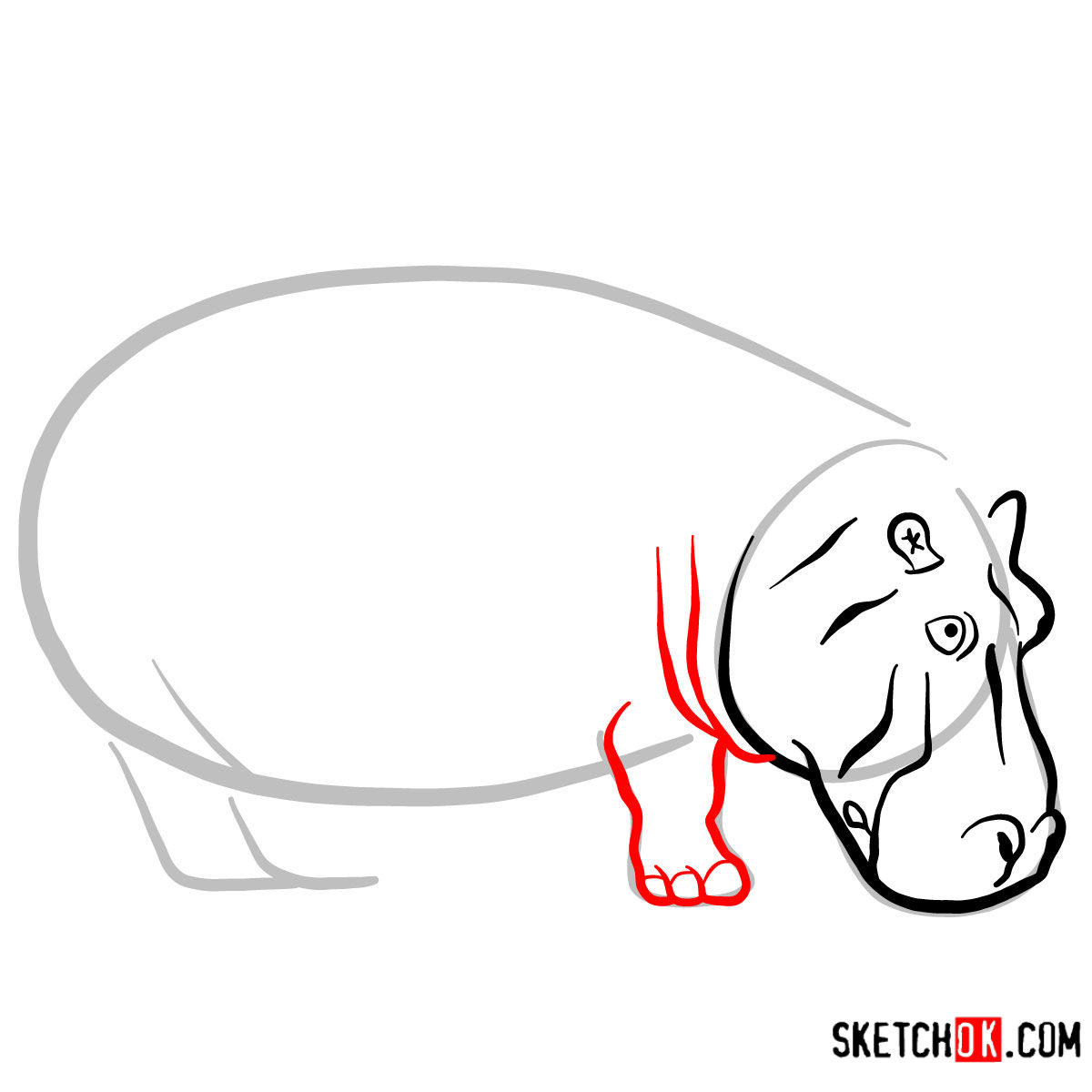 1200x1200 How To Draw A Hippopotamus Wild Animals