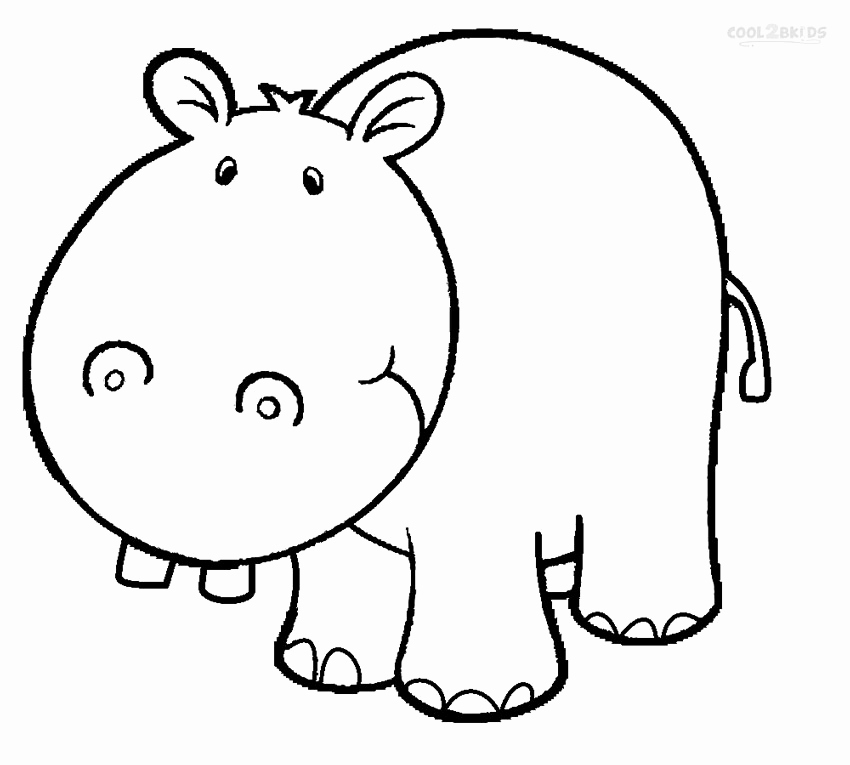 Hippo Face Drawing