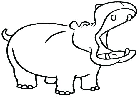 476x333 Hippo Coloring